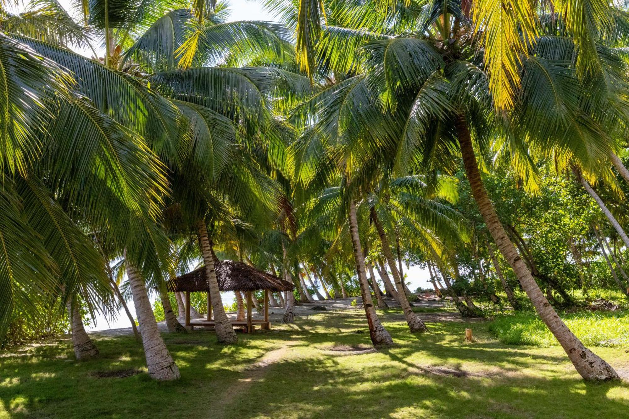 Aloita Resort Mentawai Tua Pejat Buitenkant foto